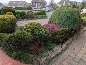 Photo 28- click for photo gallery